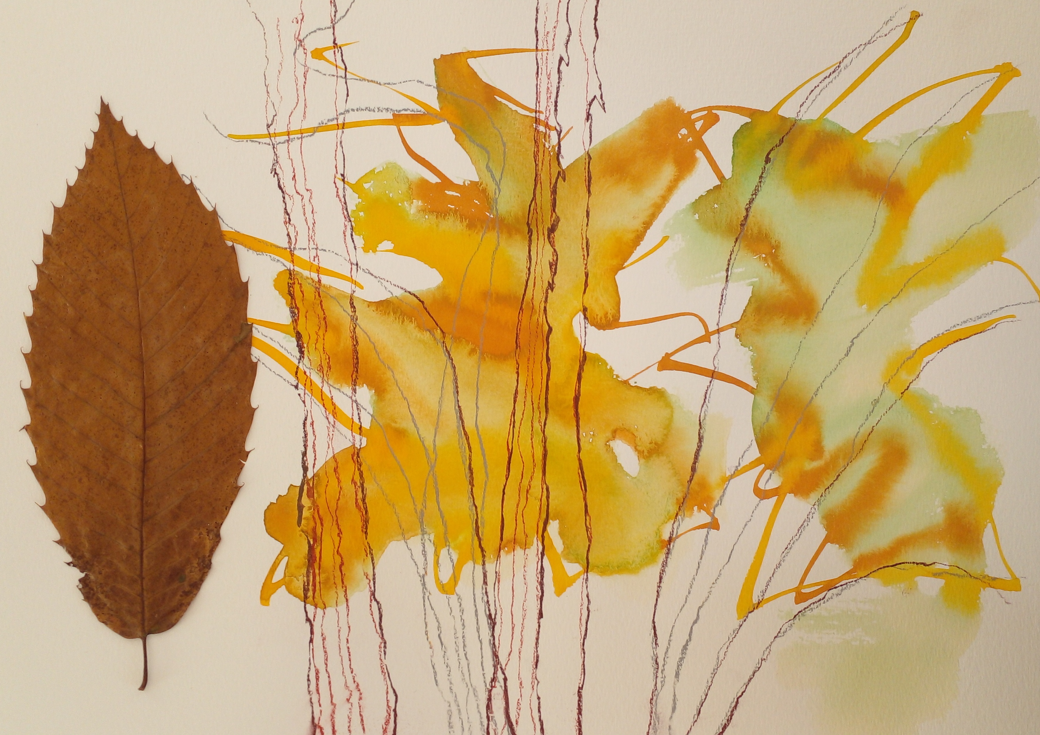 Syon Leaf II